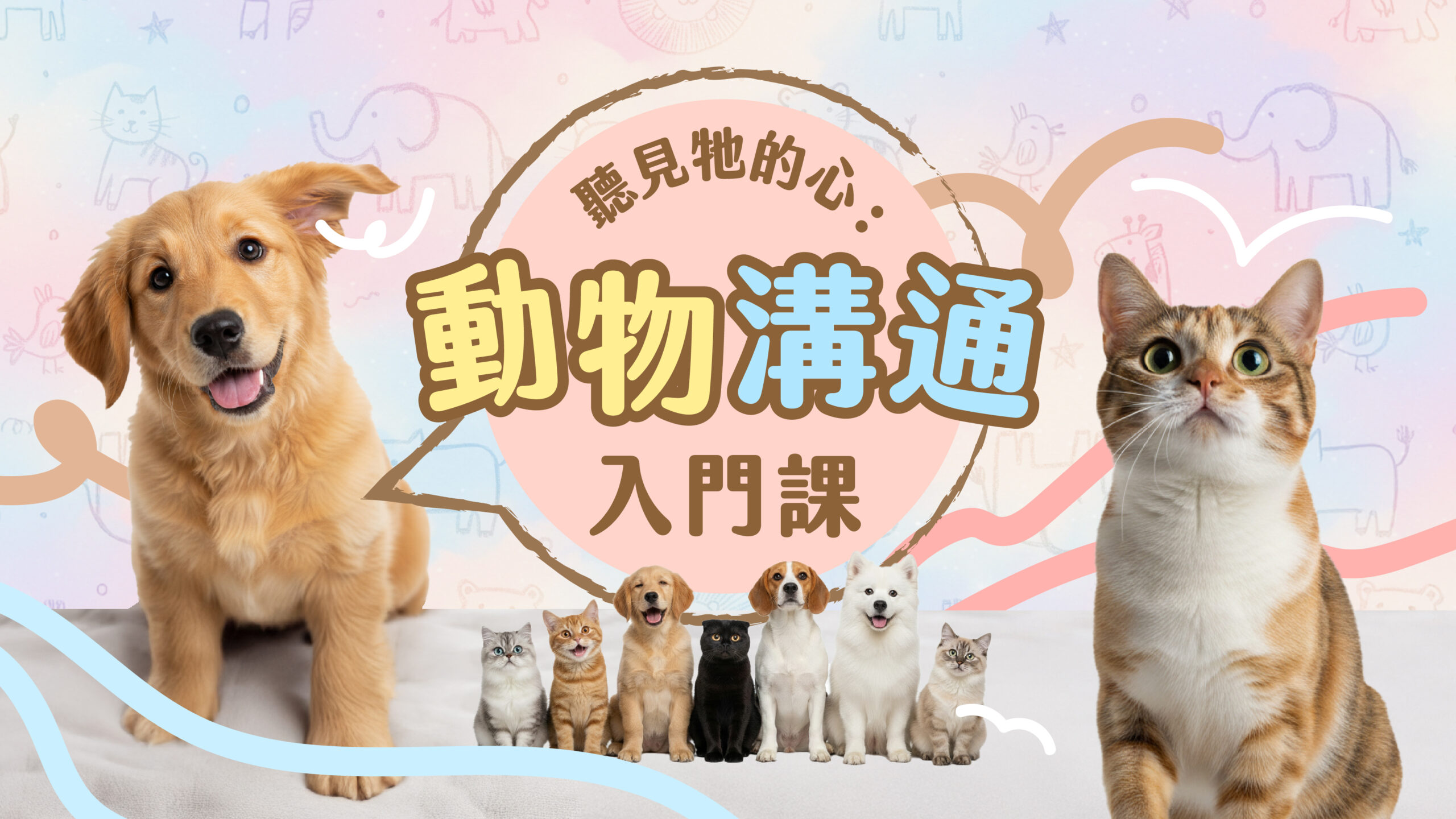 聽懂牠的心-動物溝通入門課